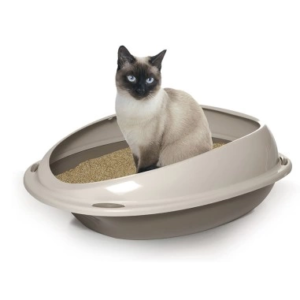 RECORD LITTER TRAY WITH BORDER -SKU-0166