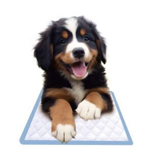 WIZUPETS DOG PADS 60X90CM X30PC -SKU-2426