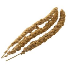 BUCKTONS MILLET SPRAY LOOSE  15KGS-SKU-2956
