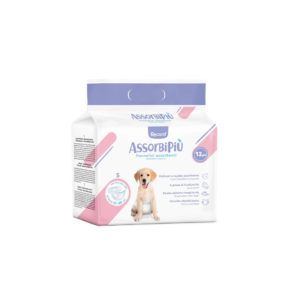RECORD ASSORBIPIU 12 DIAPERS SMALL -SKU-1640