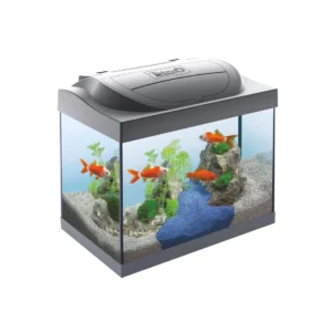 ACQUAFRIEND STARTER  BLACK 54LTRS-SKU-3315